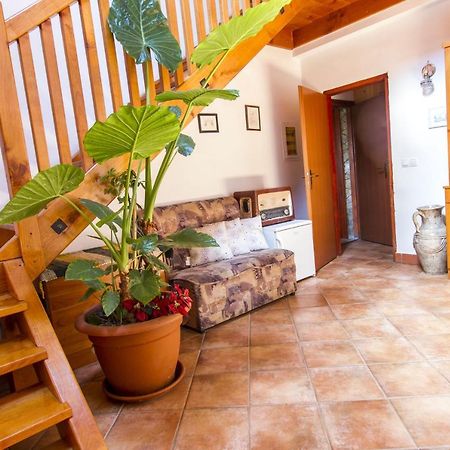 Holiday Home Juricko With Private Sauna Bizeljsko Екстер'єр фото