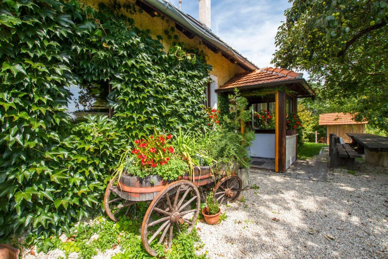 Holiday Home Juricko With Private Sauna Bizeljsko Екстер'єр фото