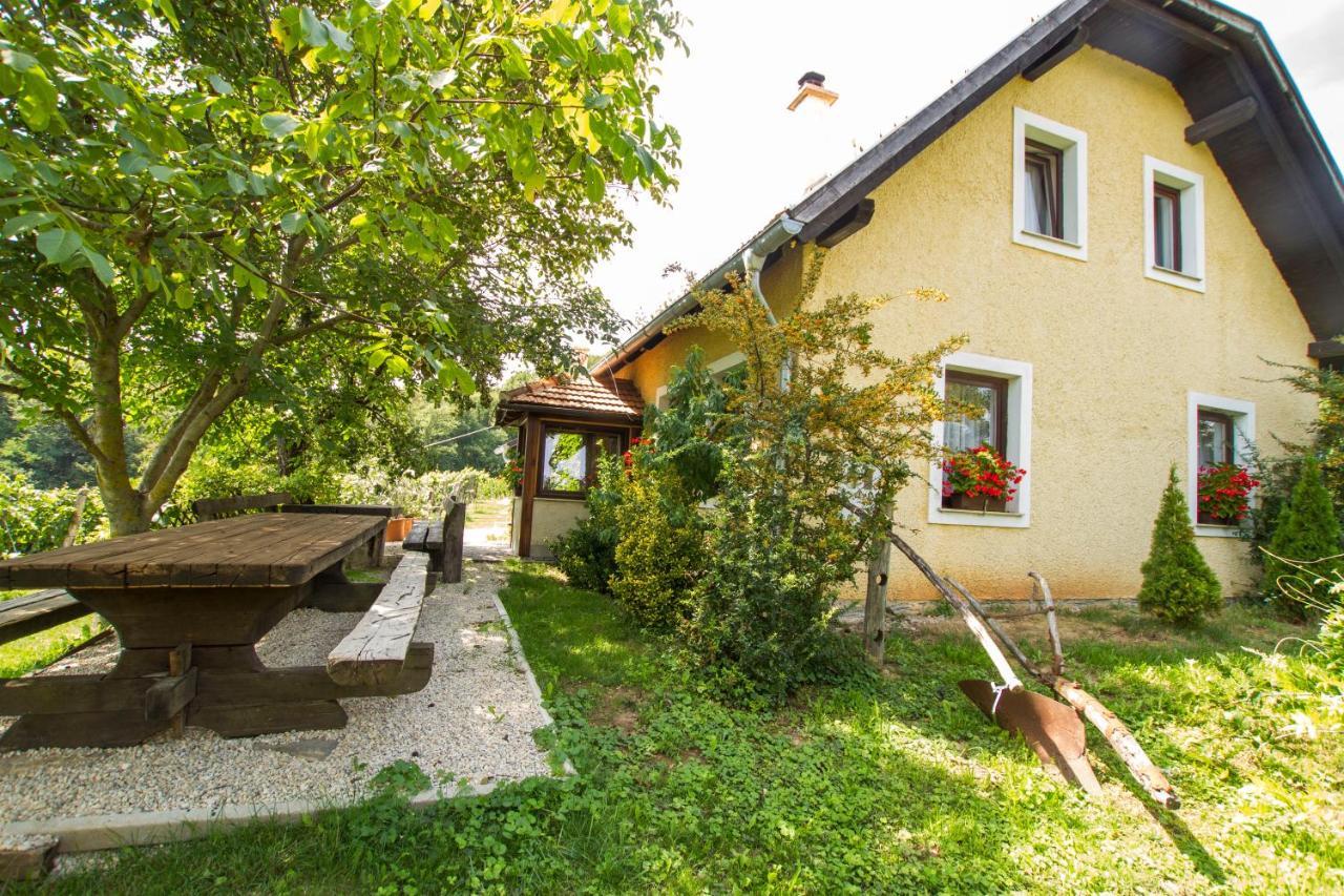 Holiday Home Juricko With Private Sauna Bizeljsko Екстер'єр фото